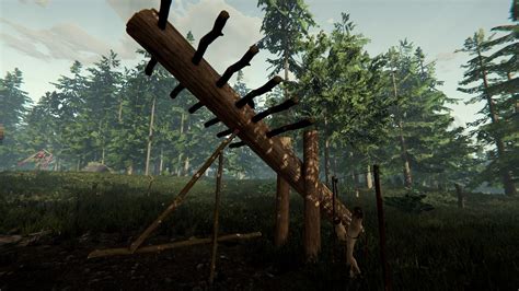 the forest traps.
